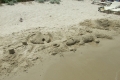 Kreacija u pesku...